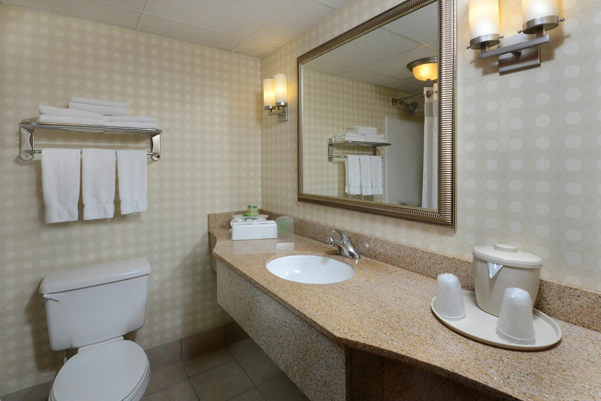 Holiday Inn Express Hotel & Suites Greensboro - Airport Area By Ihg Exteriör bild